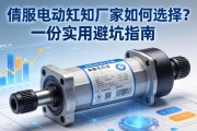 伺服电动缸厂家如何选择？一份实用避坑指南