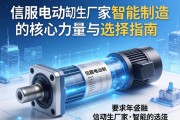 伺服电动缸生产厂家，智能制造的核心力量与选择指南